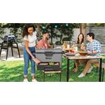 Ninja FB151EUGY Frost Vault, Chladiaci box, 47l, sivý