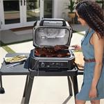 Ninja OG850EU Woodfire Pro XL, multifunkčný elektrický gril