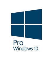 OEM Windows 10 Pro 64-Bit English 1PACK DVD