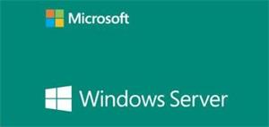 OEM Windows Server Standard 2019 64Bit English 1pk DSP OEI DVD 24 Core