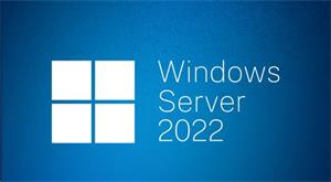 OEM Windows Server Standard 2022 64bit Eng 1pk DVD 16 Core