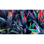 Philips 49B2U6903CH, 48.8"