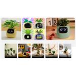 Plantsio IVY Gen 2, inteligentný kvetináč, zelený