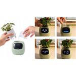 Plantsio IVY Gen 2, inteligentný kvetináč, zelený