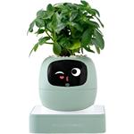 Plantsio IVY Gen 2, inteligentný kvetináč, zelený