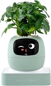 Plantsio IVY Gen 2, inteligentný kvetináč, zelený