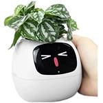 Plantsio IVY, inteligentný kvetináč, biely