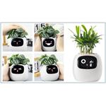 Plantsio IVY, inteligentný kvetináč, biely