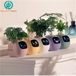 Plantsio IVY, inteligentný kvetináč, biely
