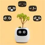 Plantsio IVY, inteligentný kvetináč, biely