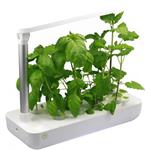 PLATINET VEGEBOX SMART GARDEN 9, biela