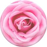 PopSockets PopTop Gen.2, Rose All Day, ružová ruža, výmenný vršok