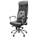 Powerton Ergo Lumba, ergonomická bedrová opierka, pamäťová pena, sivá