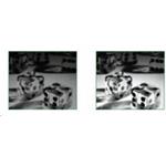 Projektor Optoma HD27e DLP; Full 3D; 1080p, 3 200; 25000:1