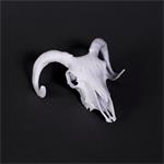 Prusament Resin Model Alabaster White 1kg