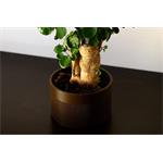 Prusament rPLA Algae Pigment, 1kg