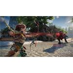 PS4 - Horizon Forbidden West