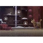 Roborock Qrevo C Pro, robotický vysávač so stanicou, čierny