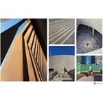 Samsung Galaxy S22 Ultra 5G, 256 GB, Dual SIM, vínový