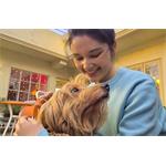 Samsung Galaxy S25 Ultra 5G, 12GB, 512GB, čierna