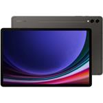 Samsung Galaxy Tab S9+, 256 GB, Wi-Fi, sivý