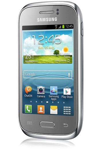 Samsung Galaxy Young (S6310), Metallic Silver