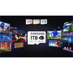 Samsung PRO Plus Sonic the Hedgehog, microSDXC, 256 GB + SD adaptér