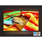 Samsung QE43Q8FA, 43" QLED 4K UHD (108cm)