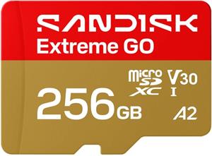 SanDisk Extreme Go microSDXC, 256 GB