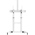 SBOX mobilný podlahový držiak pre LCD/LED 60"–100", biely