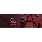 Seagate IronWolf Pro 8TB