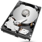 Seagate IronWolf Pro (NAS) 3,5" HDD 10TB 7200RPM, 256MB cache