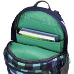 Školský ruksak Coocazoo JobJobber2, Green Purple District