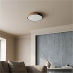 Solight LED osvetlenie s diaľkovým ovládačom Polia, 40cm