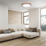 Solight WO8006, LED osvetlenie Iron Oak s diaľkovým ovládačom, 51cm