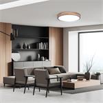 Solight WO8006, LED osvetlenie Iron Oak s diaľkovým ovládačom, 51cm