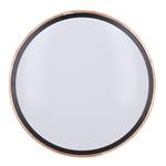 Solight WO8006, LED osvetlenie Iron Oak s diaľkovým ovládačom, 51cm