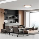 Solight WO8008, LED osvetlenie Woody s diaľkovým ovládačom, 50cm