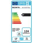 Sony TV KD-55XE7096, 55", 4K, HDR