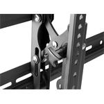 STELL SHO 3630 SLIM, držiak pre TV od 43" - 100", 70kg