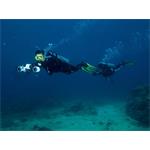 Sublue Mix, Arctic White