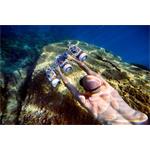 SUBLUE Tini Thriple engine Support Handle