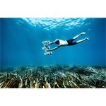 SUBLUE Tini Thriple engine Support Handle