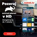 SWEET.TV, balík "L", 10 mesačné predplatné
