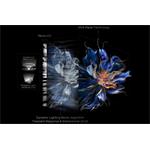 TCL 65C6K, C6K Premium QD-MiniLED UHD TV, 65" (164cm)