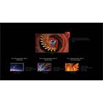 TCL 65C8K, C8K Premium QD-MiniLED UHD TV, 65" (164cm)
