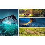 TCL 75C8K, C8K Premium QD-MiniLED UHD TV, 75" (189cm)