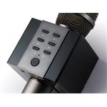 Technaxx ELEGANCE bluetooth karaoke mikrofón, 2x5W repro, čierny (BT-X45)