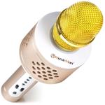 Technaxx PRO BT-X35, karaoke mikrofón, zlatý/strieborný