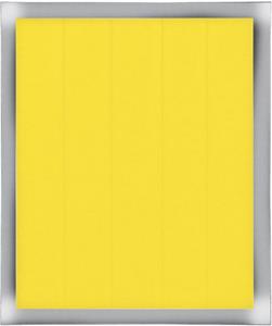 Thermal Grizzly Kapton Insulation Sheet 10x60x0,04 mm